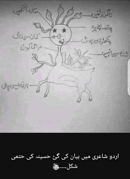 اردو ادب میں حسینہ کی تعریف۔۔۔