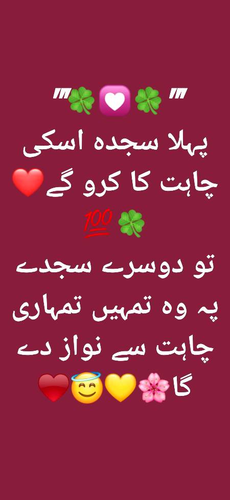Bilkul Sahi 💯💯💯😇