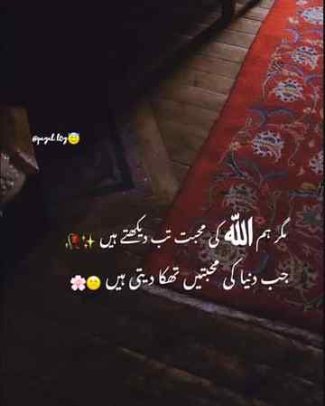 Thats not fair😭😭😭
Anum malik💔😇