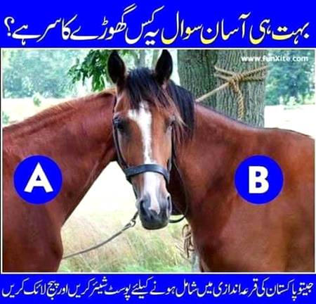 SIMPLE QUESTION...🤔