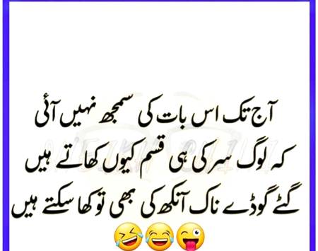 Hann Yarr 🤔🤔🤔