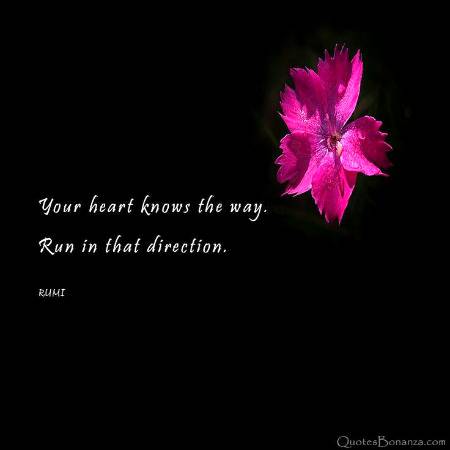 RUMI'S WORDS
