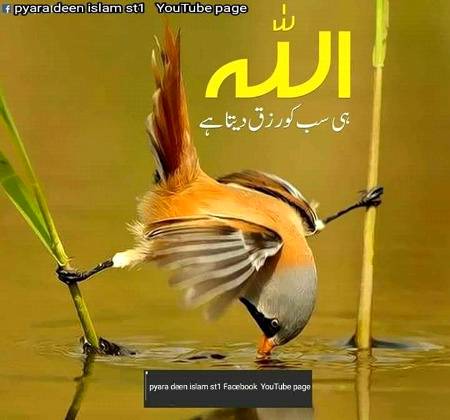 SubhanAllah Beshak