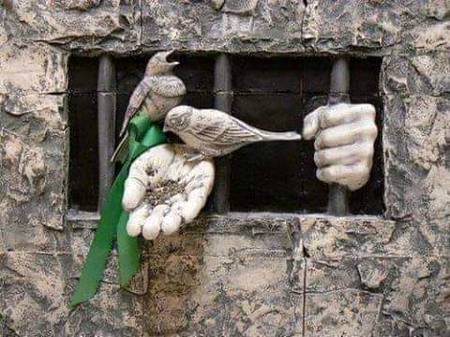 *آج قدرت کے کھیل کا عجب نظارہ دیکھا*
*آزاد پنچھی اور قید میں زمانہ دیکھا ..*😓😓