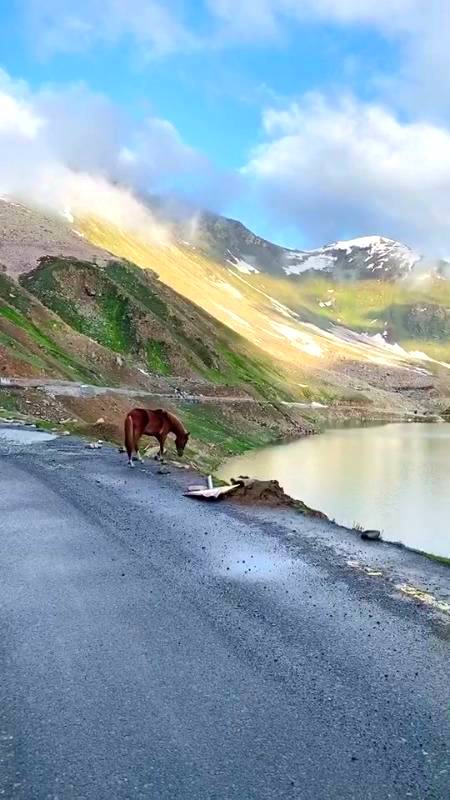 Beautiful scenery Chitral Pakistan 🔥