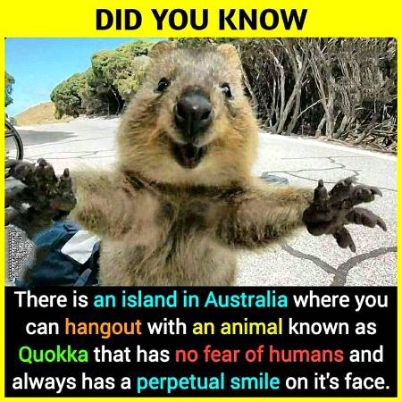 Did you know?