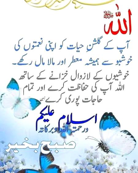 Asslam O Alaikum Tmam Dost Bhaiyo and Piyari Behno💖