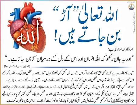 🌹🌹🌹صلی اللہ علی حبیبہ محمد نور من نوراللہ وعلی آلہ واہل بیتہ وعترتہ وازواجہ وصحبہ وجدہ وذریتہ و کل امتہ وبارک وسلم کثیراً کثیرا و دائماً ابدا 🌹🌹🌹