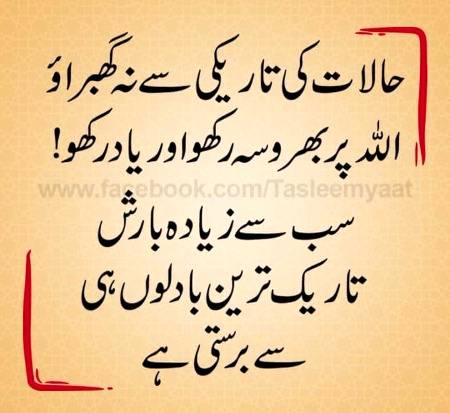 🌹🌹🌹صلی اللہ علی حبیبہ محمد نور من نوراللہ وعلی آلہ واہل بیتہ وعترتہ وازواجہ وصحبہ وجدہ وذریتہ و کل امتہ وبارک وسلم کثیراً کثیرا و دائماً ابدا 🌹🌹🌹