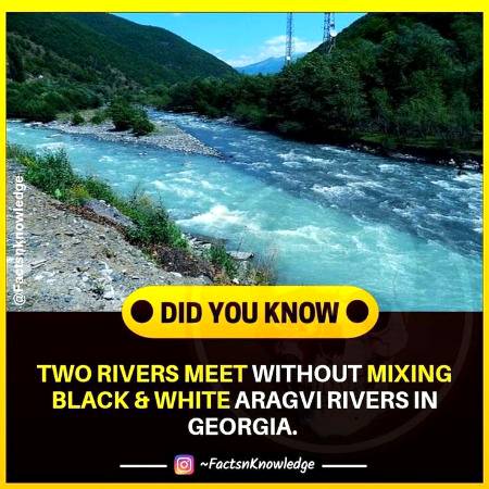 DID YOU KNOW??