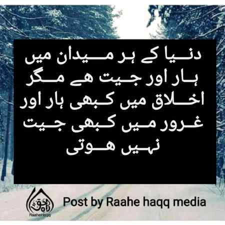 hlo friends