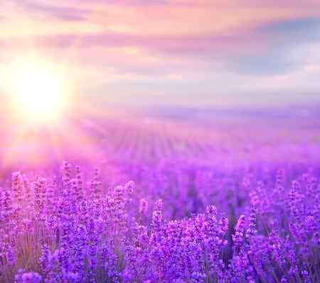 *_اللہ پاک فرماتا ہے ساری دنیا گھوم، دھوکے کھا، چوٹ کھا، ٹوٹ جا، پھر مجھے پکار میں حاضر_*

*سبحان اللہ*