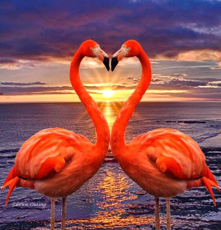 Amazing...😍❤