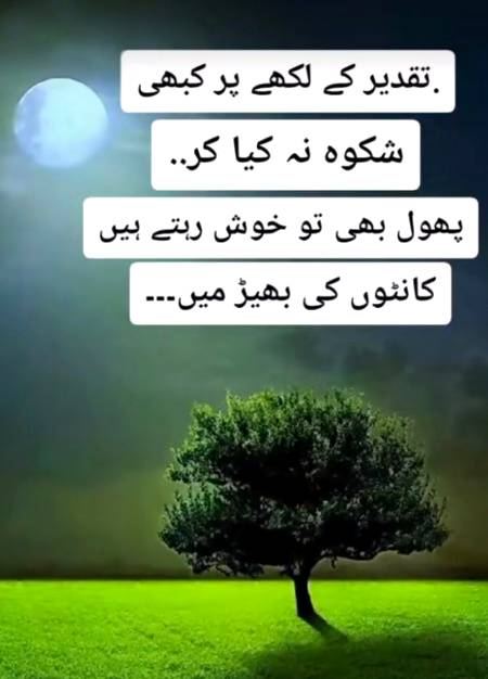 💯💯💯 Right ⁦❤️⁩💓