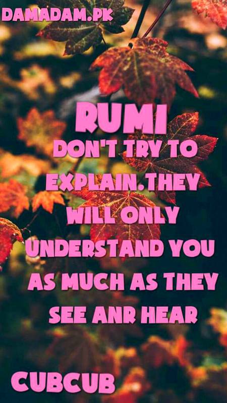 Rumi's words