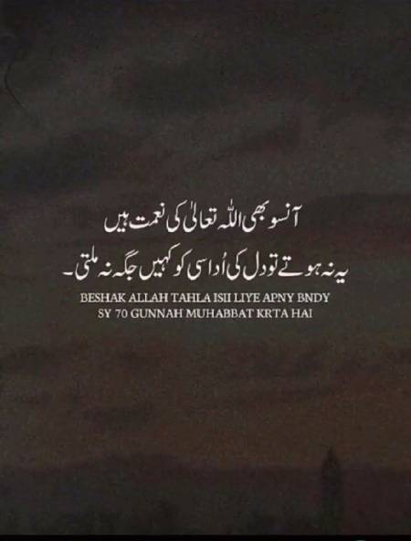 Bilkul 💯💯💯😞