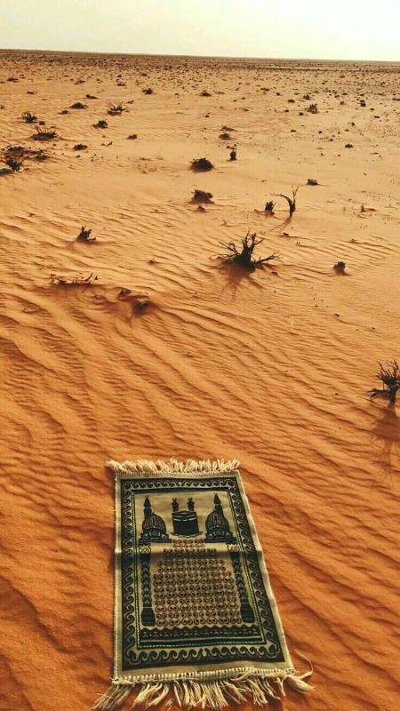 *دنیا اسی لیے تو ایک بری جگہ بنتی جا رہی ہے .ہم جتنے اچھے ہیں اس سے کہیں زیادہ برے بھی ہیں.*

ہم صرف یہ دیکھتے ہیں کہ دوسروں کے رویے سے ہمیں بہت تکلیف مل رہی ہے لیکن جو الفاظ ہم دوسروں کی طرف پھینک رہے ہیں اس کے متعلق *آج تک ہم نے کبھی سوچنے کی جسارت ہی نہیں کی کہ کہیں وہ الفاظ تلوار سے زیادہ تیز اور زہر سے زیادہ تلخ تو نہیں*✨💫