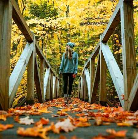 ایک لمحے میں بکھر جاتا ہے تانا بانا 
اور پھر عمر گزر جاتی ہے یکجائی میں