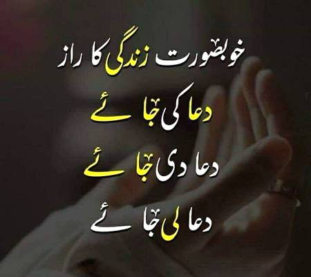 🌹🌹🌹صلی اللہ علی حبیبہ محمد نور من نوراللہ وعلی آلہ واہل بیتہ وعترتہ وازواجہ وصحبہ وجدہ وذریتہ و کل امتہ وبارک وسلم کثیراً کثیرا و دائماً ابدا 🌹🌹🌹