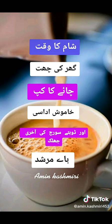 Zabardest and a wonderful