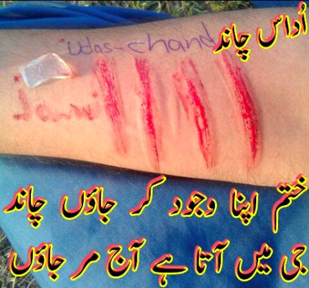 نمک بھر کر مرے زخموں میں تم کیا مسکراتے ہو
Chaand😥
مرے زخموں کو دیکھو مسکرانا اس کو کہتے ہیں