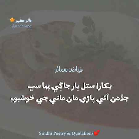 Allah Hafiz Zindagi rhi to pr bat hogi nhi to qayamat m molaqt hogi