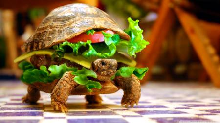 KACHOWA BURGER