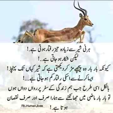 بہت سدھر گئی ھوں صاحب..!👌❤
دور رھتی ھوں اب اچھے لوگوں سے...🔥😊
But usko kiu ni bhol skte😭💔
Anum malik💔😭😇