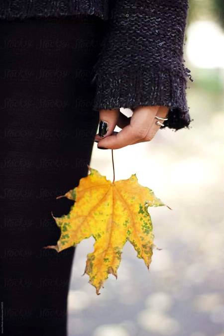 السلام عليكم😍 اپنی آنکھوں کو سنبھال کے رکھے اے ابن آدم...😒ہر گھر سے نکلی ہوئی مجبور بہن بے حیا نہیں ہوتی