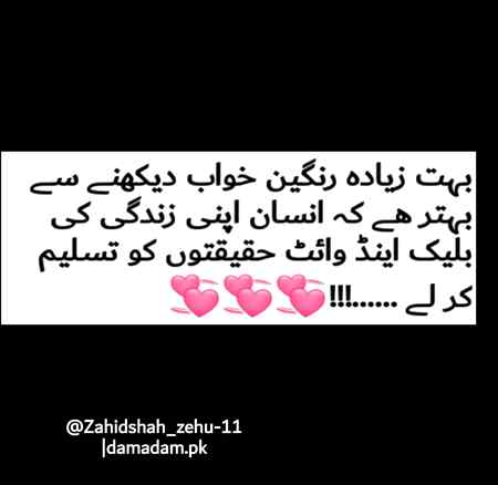 بہت زیادہ رنگین خواب دیکھنے سے بہتر ھے کہ انسان اپنی زندگی کی بلیک اینڈ وائٹ حقیقتوں کو تسلیم کر لے🙂
