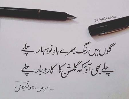 Gulshan ka karobar chaly❤