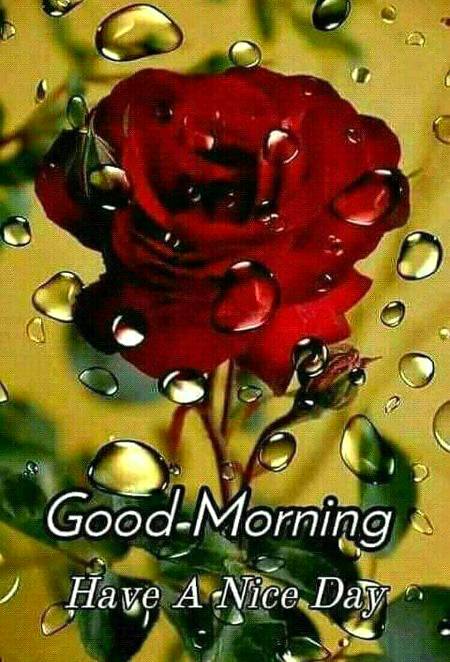 All Friends