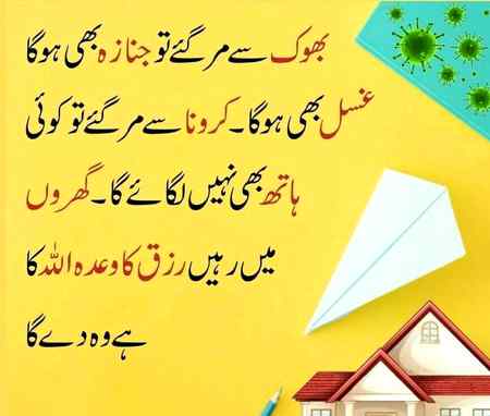 Hlo friends
