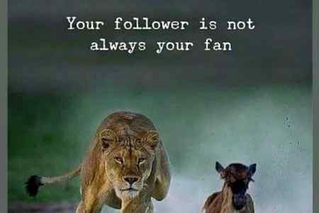 it,s true tell me my follower,s....