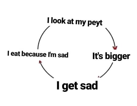The Vicious Cycle