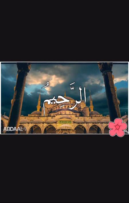 MashAllah 💐💐💐