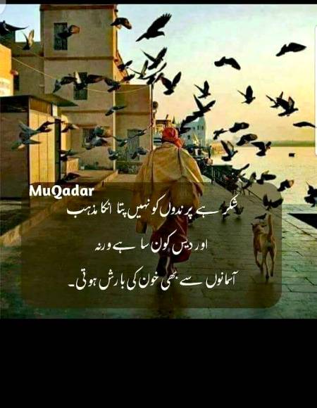 Deep one😶