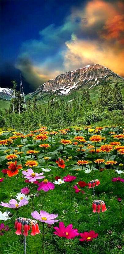 Stunning view!
