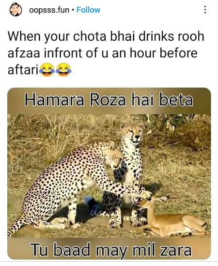 Ramzan Mubarik β€