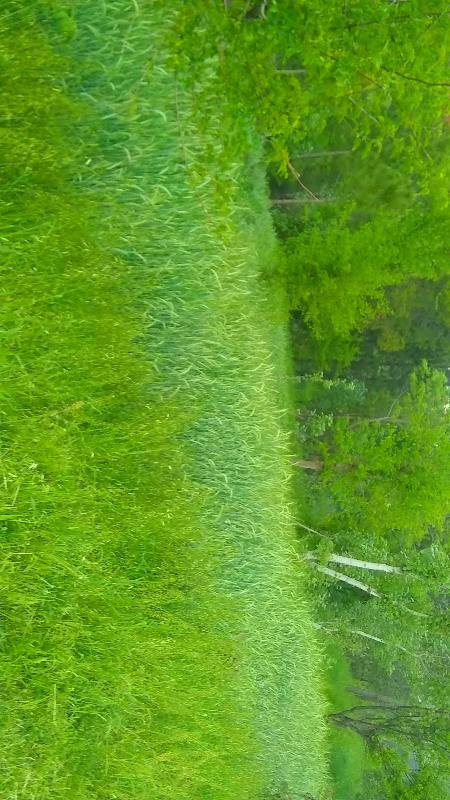 Kise lage ye pic 💝💖😘