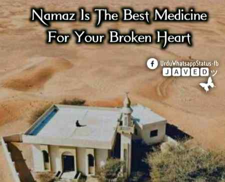 Beshak Es Main Koi Shak Nahi