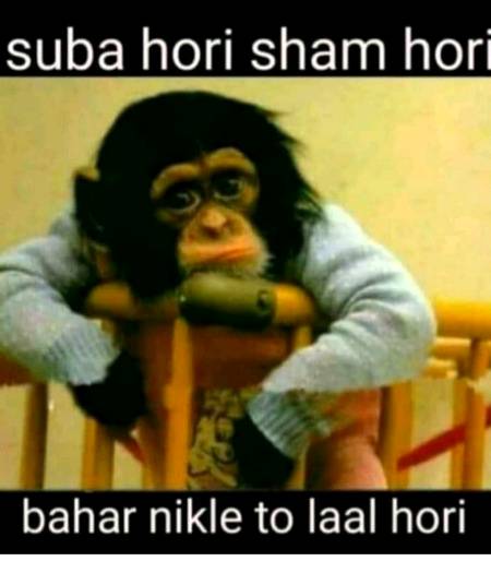 aisa hi kue hota ha
