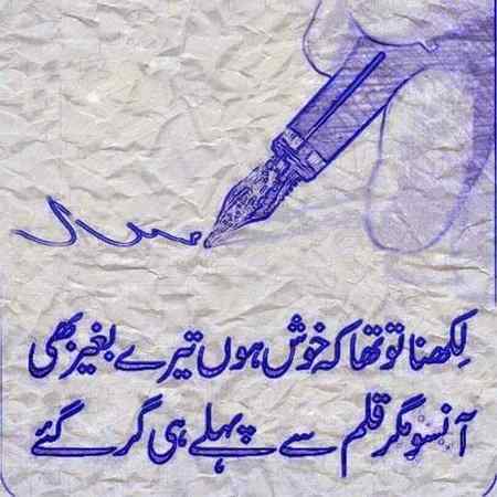🍁Zoq_Shab🍁