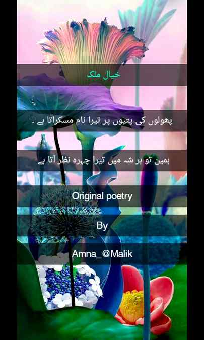 BY AMNA MALIK