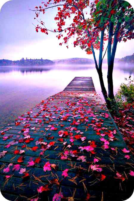 💐💐💐💐💐🌼🌼🌼🌼