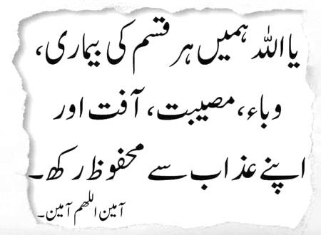 🌹🌹🌹صلی اللہ علی حبیبہ محمد نور من نوراللہ وعلی آلہ واہل بیتہ وعترتہ وازواجہ وصحبہ وجدہ وذریتہ و کل امتہ وبارک وسلم کثیراً کثیرا و دائماً ابدا 🌹🌹🌹