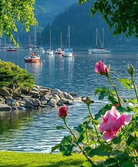 assalam.o.Alaikum all friends am sorry  for all