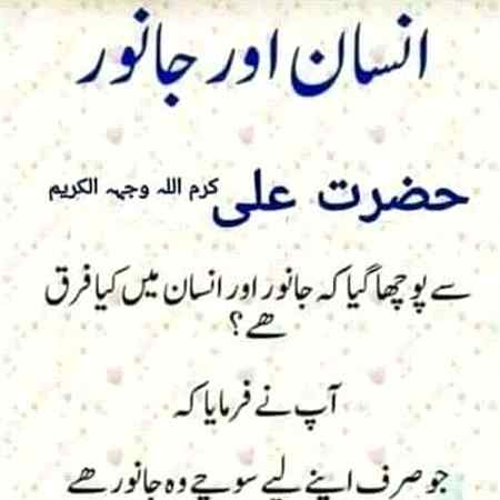 Sending by fareed ahmed shaikh