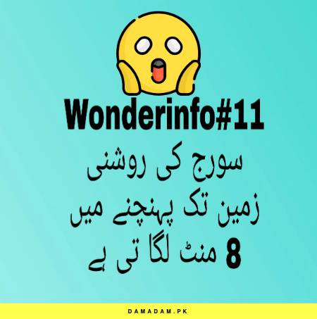Wonderinfo_11