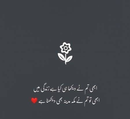 ~~~~~///~~~~~Ameen